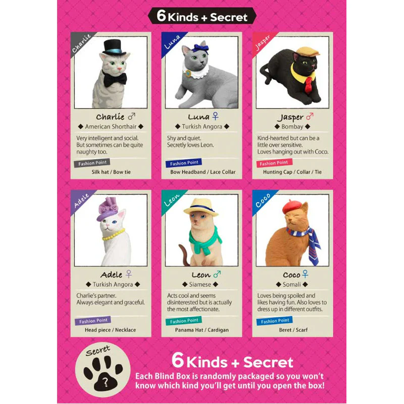 Fancy Pets : Amy's Favorite Cat Blind Box - Image 4