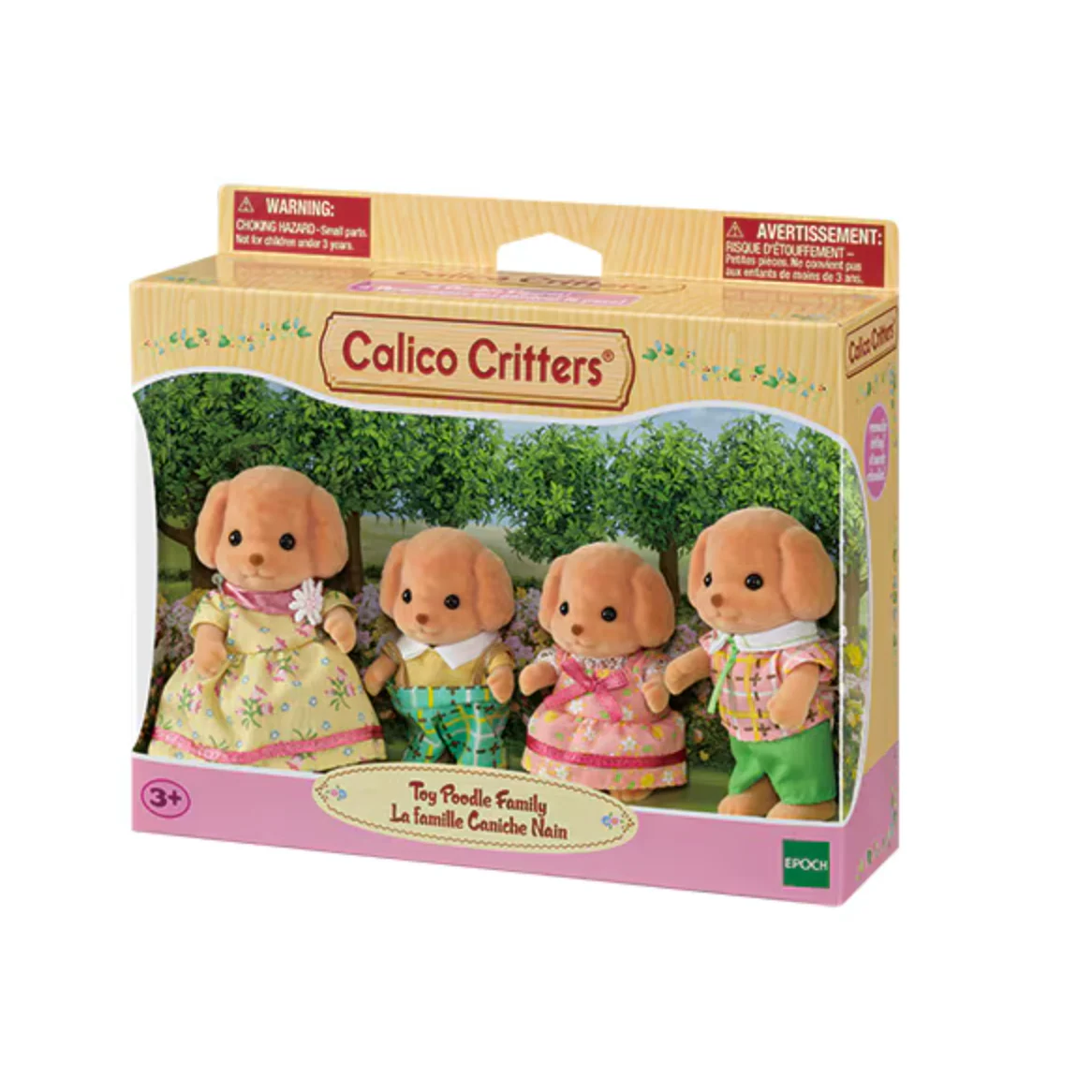 Toy Poodle Family - Image 2